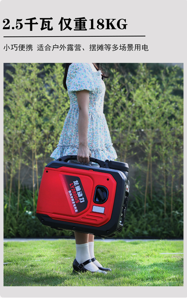 Longyu Mini Small Gasoline Generator 220V Low Noise Variable Frequency Outdoor RV Camping Portable All-Copper Motor
