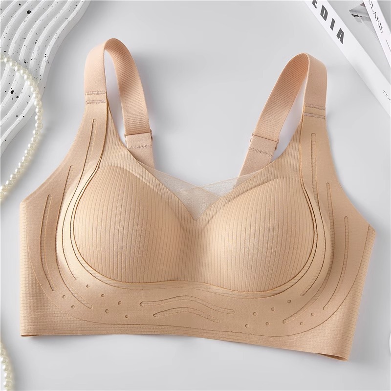 밤나무 껍질 단일 조각