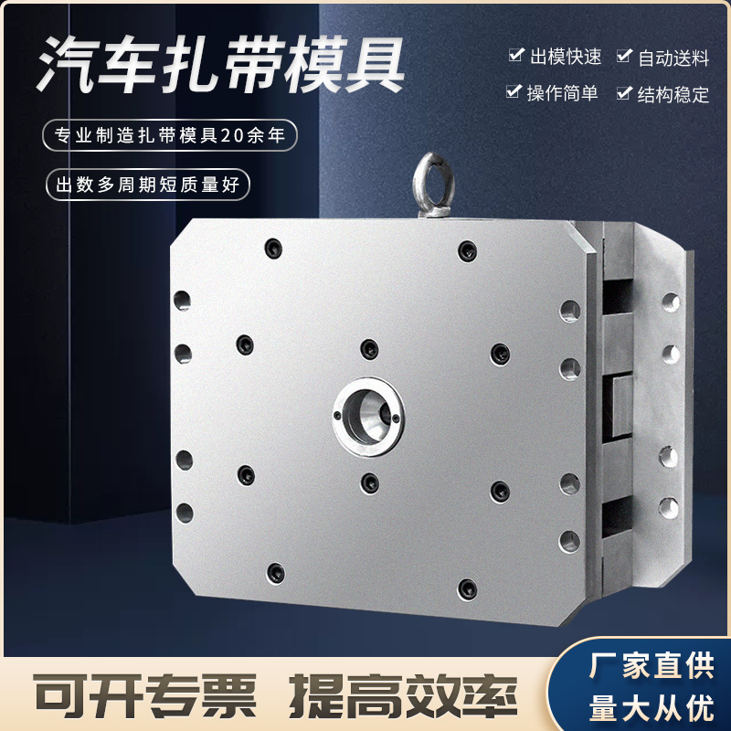 专业制造模具 扎带模具 尼龙扎带模具 钢钉线卡模具 各种封条模具