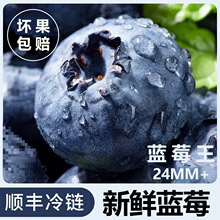 顺丰蓝莓鲜果大高山新鲜水果应当季整箱怡颗莓应季现摘百奇