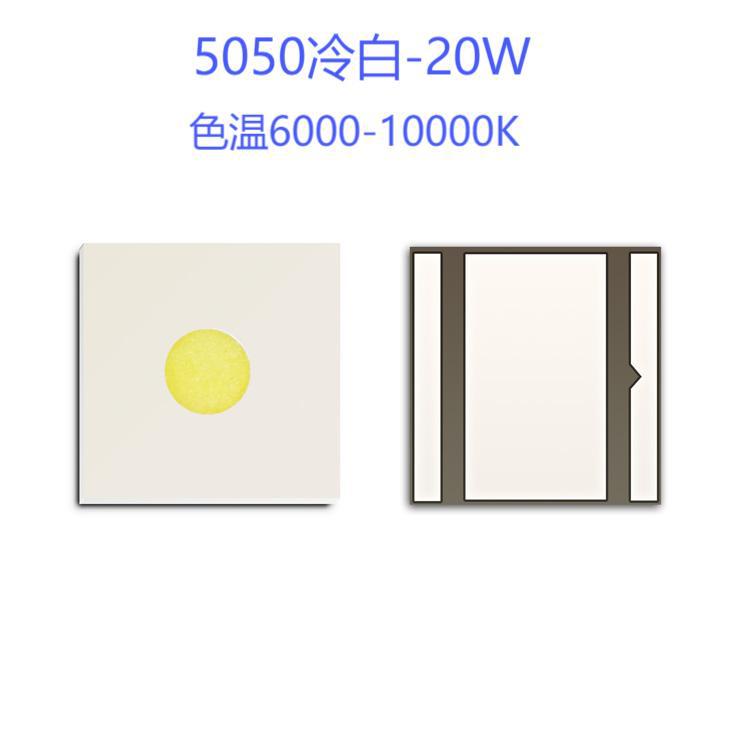 Զ����ǿ���ֵ�ר�� ���� 5050���ʰ׹�10-20W ɫ��6000-10000K