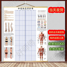 体测表体态瑜伽身体脊椎评估图私教站健身房装饰形体姿♔简约现代