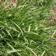 �oâȸ���N�����|���|é������é�N�Bţ�t�����|����ݷN���ļ�