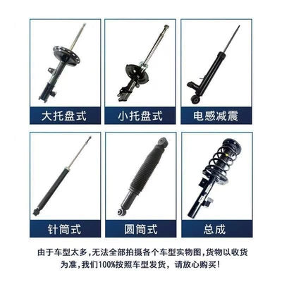 rear shock absorber – damping system