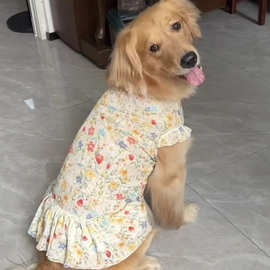 狗狗衣服碎花裙子夏季大型犬薄款透气宠物金毛拉布拉多可爱防掉毛