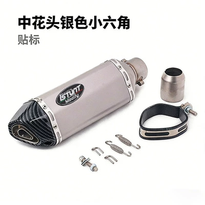 Exhaust pipe: ZX6R Huanglong 600 Motorcycle - medium-flower-head-silver-small-hexagon-labeling