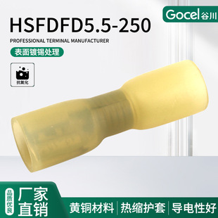 �ȴ���sϵ��HSFDFD5.5-250�S�~���PE�⚤ĸ�˲�ɹ��ͽӾ�����