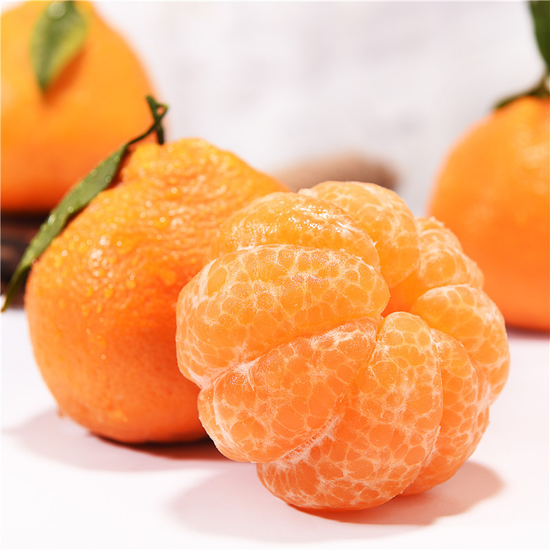 四川耙耙柑手剥柑 当季新鲜水果春枧不知火丑柑一件代发批发|ms