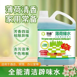 Mint Mopping Cleaning Liquid for Wiping Floor Tiles, Ceramic Tiles, Floor Degreasing, Scented Household Mopping Water, Universal Large Barrel