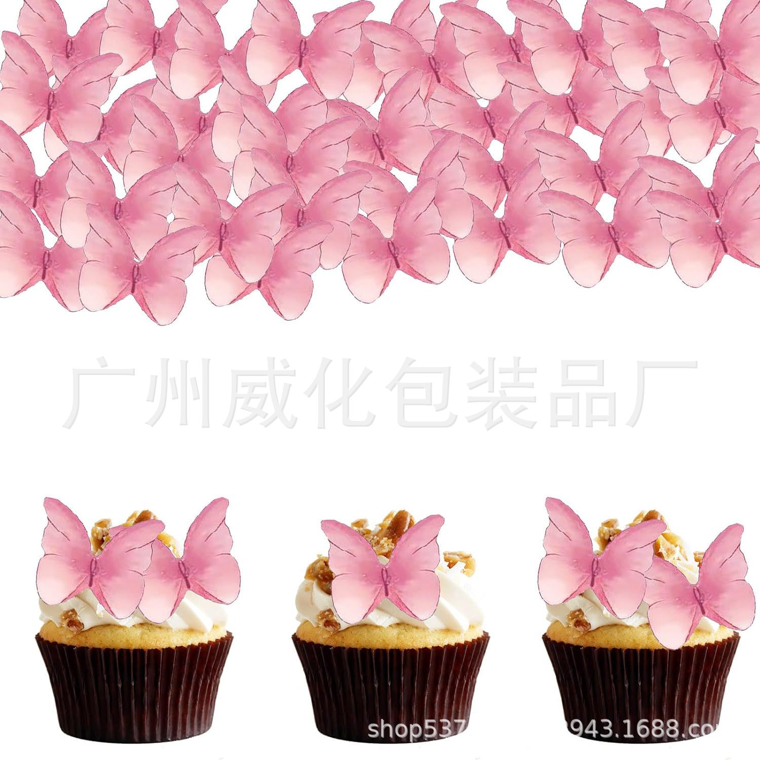 다채로운 나비-핑크 48