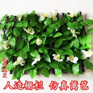 �羳����h���~��ľ�ř���s���ڼ�ֲ��������@ͥԺ�b��o��