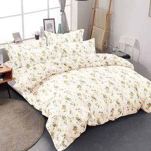 100 Pieces of 100% Class a Pure Cotton Quilt Cover Single Piece Printed Cartoon Small Fresh Girls Student Dormitory Cotton