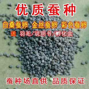 �Q�Ӽ��Q���Qɣ�Q�����W�������O�Q�N���꼉�ƌW�n��Ȼ��ɫ�Q��