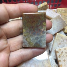 ��÷���\ɺ���� ��Ȼ�軯��.�o����.����.����ë���.��