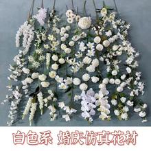 ɫϵc滨YüٻŻ·Ļˇ廨컨