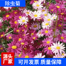 ���l���x����x�շN����û��������ļ��N��Ժ���Ի��N���_������