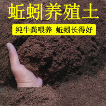 �t����Bֳ���B��������ʳ��I�B���������ţ�S�l���ЙC��