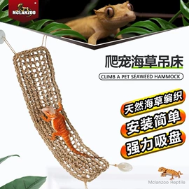 宠物周边用品;其他小宠用品;水族箱