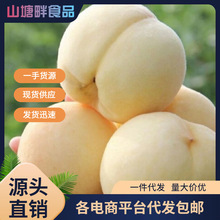 山东水蜜桃白玉白桃大白正宗冬桃毛桃白如玉时令新鲜水果一件代发