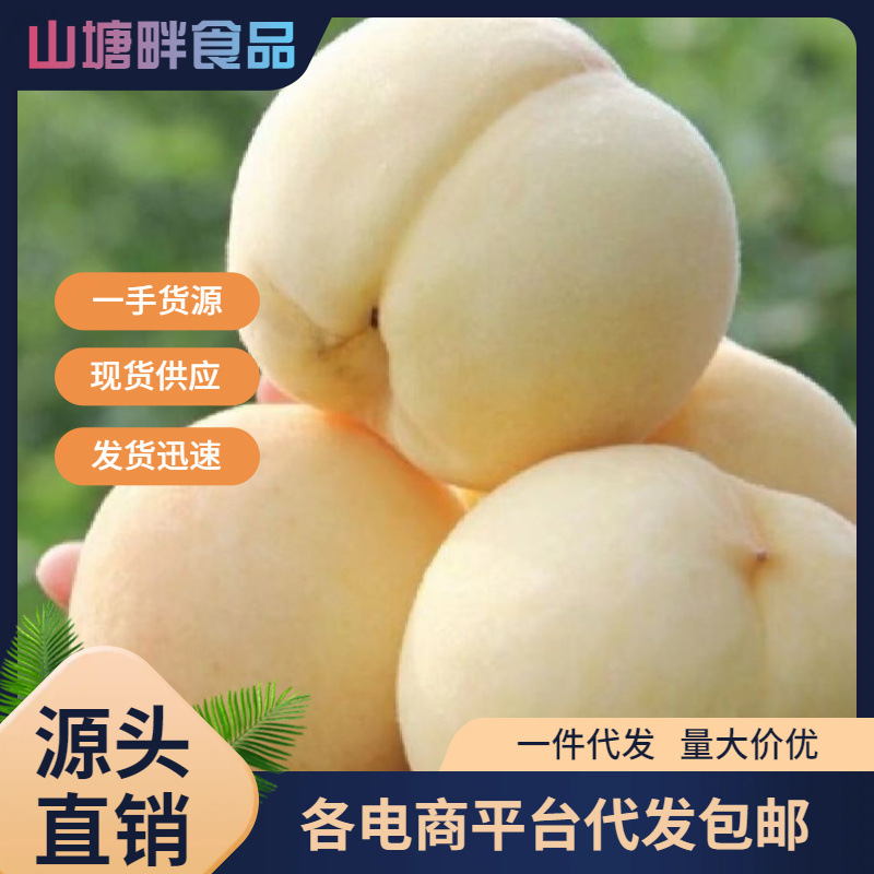 山东水蜜桃白玉白桃大白正宗冬桃毛桃白如玉时令新鲜水果一件代发