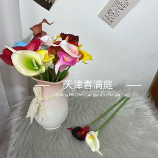 ���滨��֧ pu�����R��ɏ �Ҿ��bzӰ�����ָ�ܛ�z�R��ɏ���滨