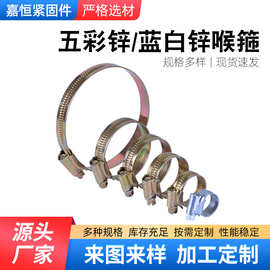 英式喉箍 五彩锌喉箍 蓝白锌喉箍 电动三轮车棚通用喉箍固定卡箍