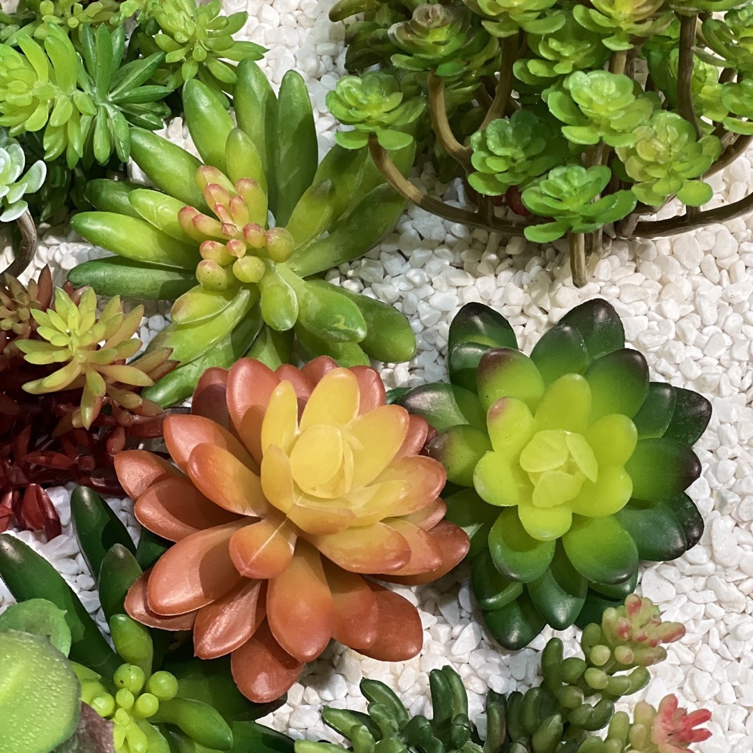 Marco decorativo Planta nórdica colgante de pared decoración de pared colgante de pared tridimensional pared de fondo de planta verde pared cabeza de ciervo simulación suculento planta verde