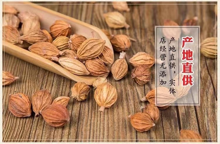 Xiang Sha Ren Amomum Fruit Sichuan Dried Spice 100g for Culinary and Herbal Use specifications