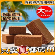 Ҭ�u�I�B���N��ͨ����Ó�}Ҭ����KҮ�u�����������B�������Nֲ��