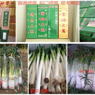 ���Y���b���b�� ������[ �Gɫꖹ� ���l��ُ �o���� ԭ�a��