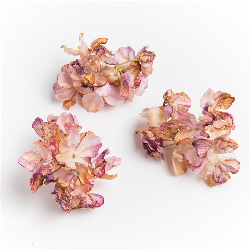 스노우 버드 색상