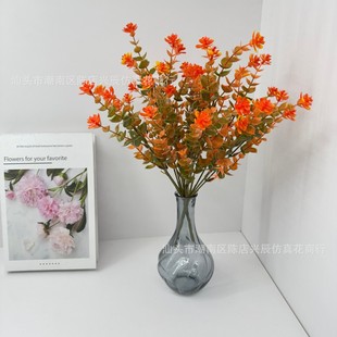 ���R�d�＾�ȼ���õ��޹�²ݹ𻨼Ҿ��bGֲ�������滨�߷���