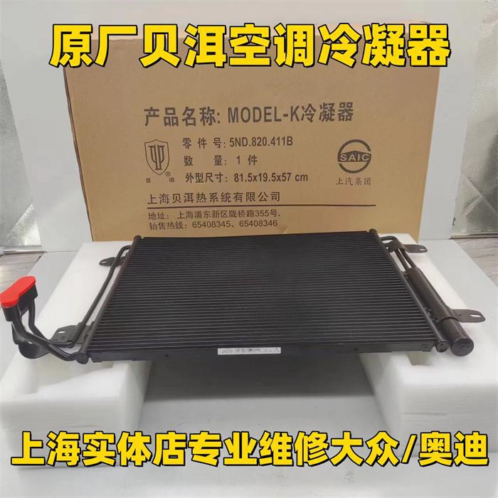 Suitable for New Passat Tiguan Touran Sagitar Cc Magotan Golf Octavia Haorui Air Conditioner Condenser Cooling Net