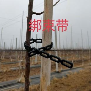 �@ˇ������������ľ�̶�ֲ�����Ԙ����߲������`�S�@ˇ��������