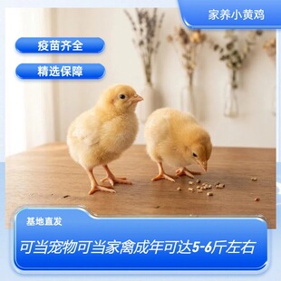 ���BС�S�u�ɮ�����ɮ�����#���S�uС�u��#С�S�u����