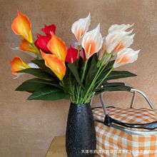 ^/^PUָRɏ滨ҾӻYø߷c