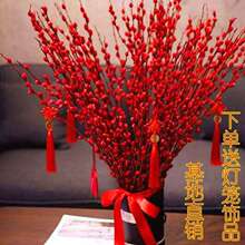 招财银柳干花真花鲜枝水培植物红色银柳年宵花卉福桶客厅室内装饰