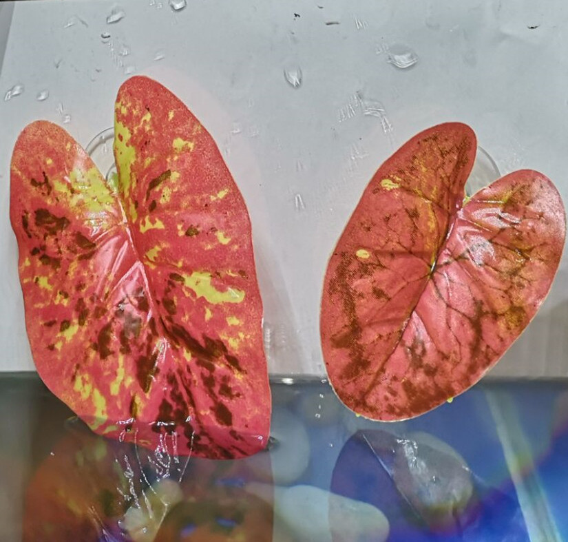 Planta acuática decorativa para acuario – simulación de pasto y flores para paisaje y desove de peces Pavo Real