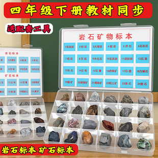 Rock Specimens for Fourth Grade, Volume 2, Science Rock and Mineral Specimens, Primary School Students' Flower Rock Science Observation Materials