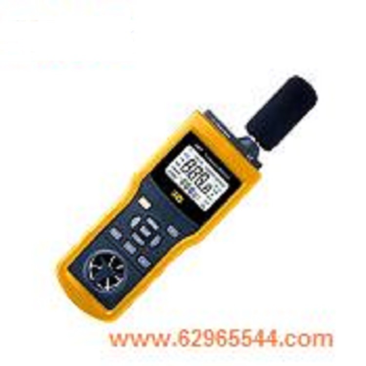 环境检测仪  型号:ZXYDH61库号：M250219