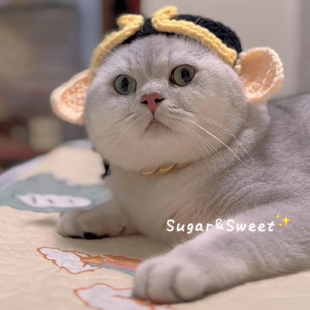 ✅ Funny Cat Pig Eight-Headed Pig Headgear Cute Pet Wool Knitted Hat Cross-Dressing Hat Dog Headwear Journey to the West