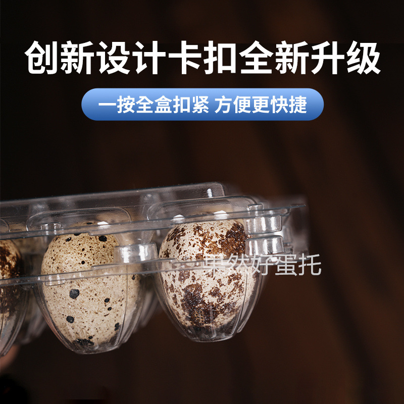 主图-鹌鹑蛋托4.jpg