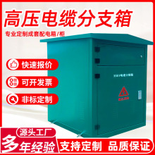 10kv�߉���|��֧�䶨��һ�M�����ĳ���DFW-12/630����Wʽ�ֽ���