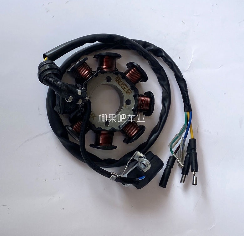 Motorcycle ATV accessories 125-250CC engine AC 8-pole/DC 12-pole coil magneto stator
