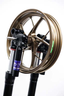 618 Huge Deal 2.3kg Motorcycle wheel hub - 25j-tianxuan-customized-japanese-bronze-car-paint