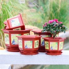 ��̖�Ӻ��ڏ��´ɻ�����ľ�辰�N��Gֲ�@ˇ���l���� ���ǻ���