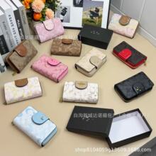 �羳Ů��2026�ɐ۶�Ͱ�С�������X���ճ�����W��С���OӋС����
