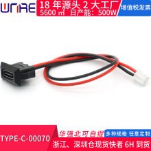 TYPE-C-00070卡扣斜面2P黑色防水母座台灯充电口带线带端子连接器