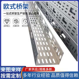 欧式桥架多孔桥架不锈钢线槽冲孔式托盘桥架规格多样外观平整光滑