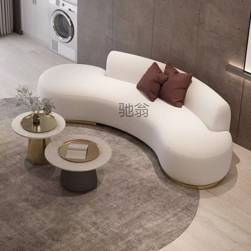 圆弧形卧室简约小户型意式接待小沙发异形双人院轻奢网红现代
